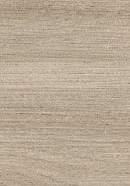 OLMO 2109